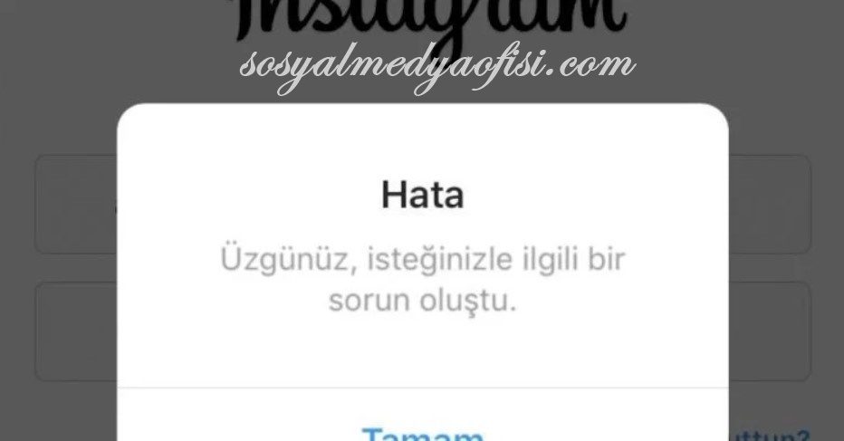 İnstagram Hesabıma Giriş Yapamıyorum