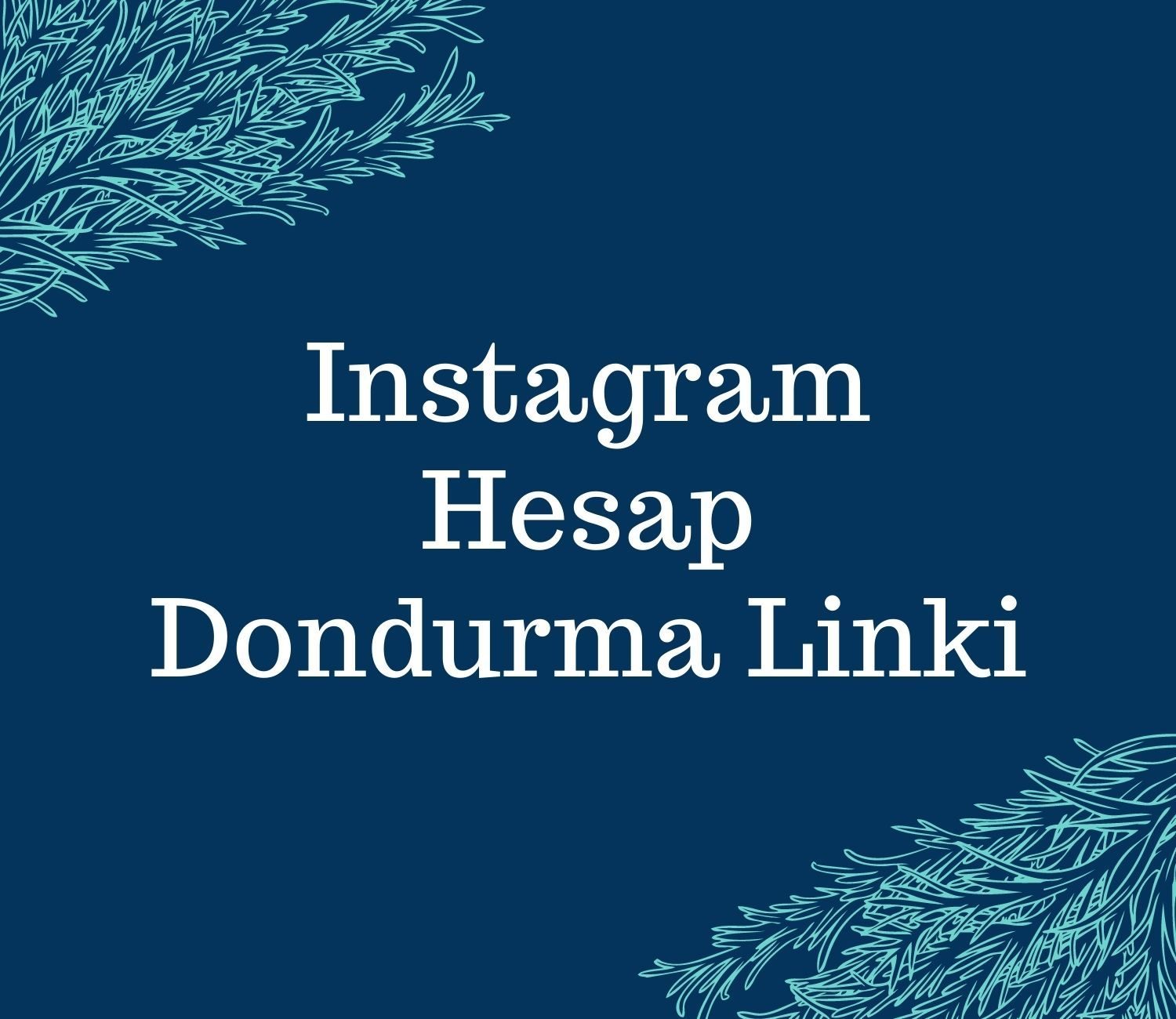 Instagram Hesap Dondurma Linki